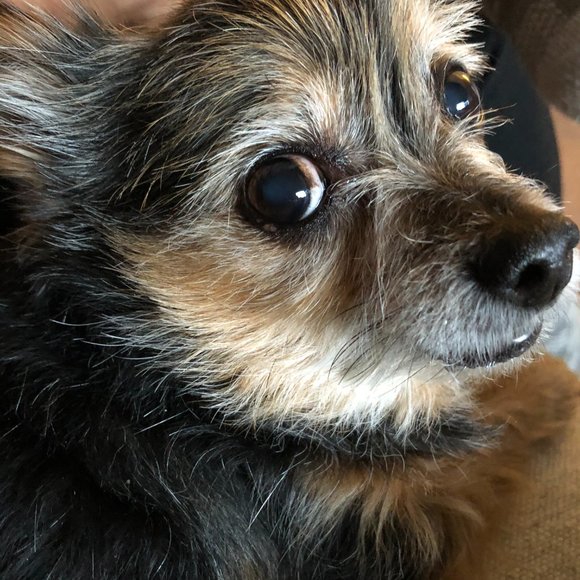 Meet your Posher, Lorie - Picture 12 of 12